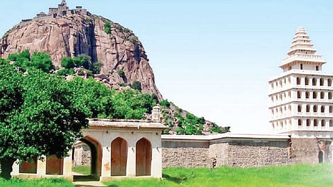 Special features of the  Genji Fort