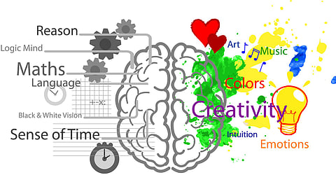 Left and right brain