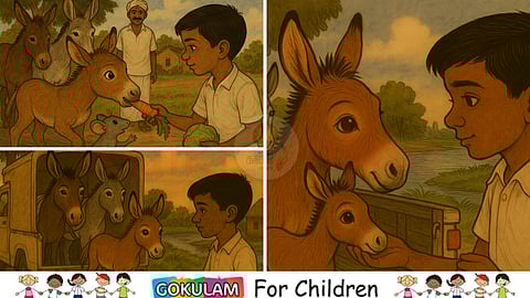Illustration for children story