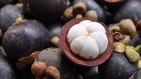 Mangosteen fruit