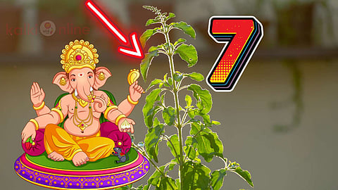 Hindu Devotional Plants