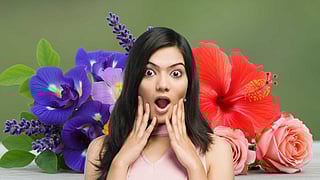 Flowers