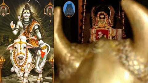 Pradosha worship