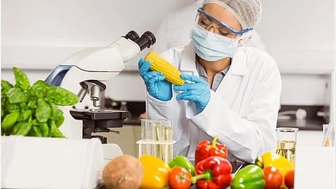 researcher recommend foods