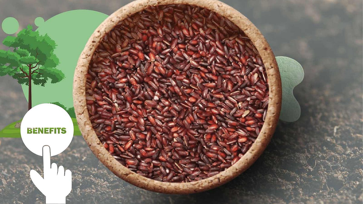 போர் வீரர்களும் குத்துச்சண்டை வீரர்களும் சாப்பிட்ட கல்லுண்டை சம்பா...