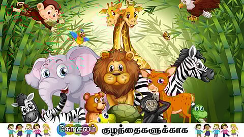 animals