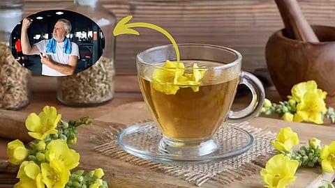 Mullien Tea