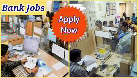IBPS Clerk Job Announcement 