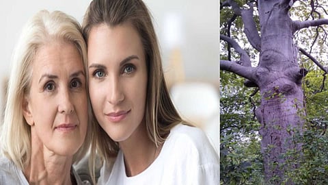 Aging is natural