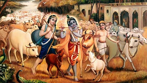 The secrets of Shri Krishna's cow herding