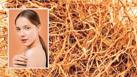 Benefits of Vettiver