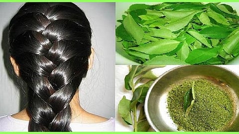 Hair & Curry leaves