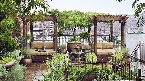 Rooftop gardening