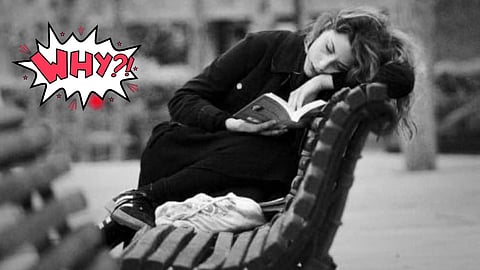 Reading motivation books