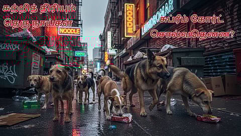 சுற்றித் திரியும் தெரு நாய்கள் 