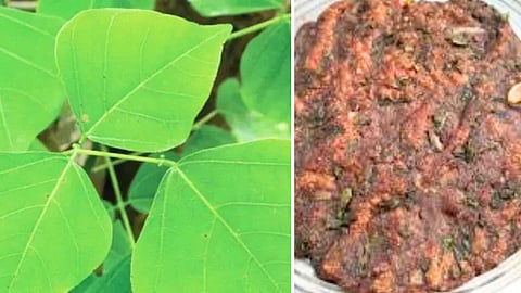 healthy recipes in tamil