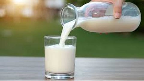 Things to look out for in a milk packet