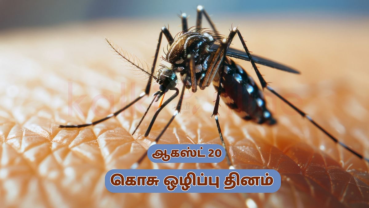 இந்தியாவில் கொசு கடியால் 24,000 பேர் பலியா? தப்பிக்க ஈஸி டிப்ஸ்!