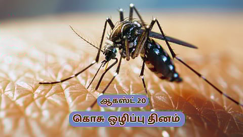 August 20: World Mosquito Day