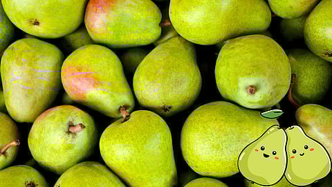 Pear fruit