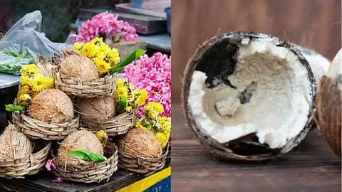 Is the coconut flower a good omen?