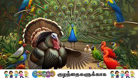 Birds