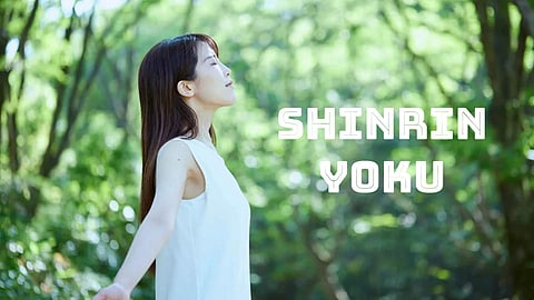 Shinrin yoku - Forest bathing