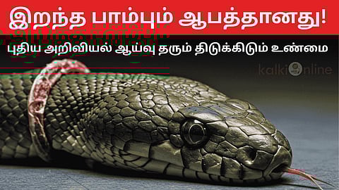 இறந்த பாம்பும் விஷத்தைச் செலுத்த முடியும்