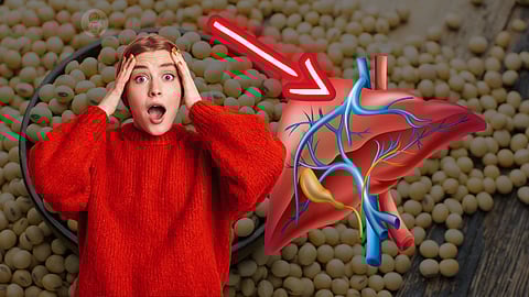 Liver