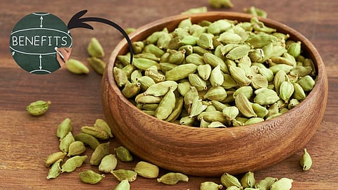 Cardamom