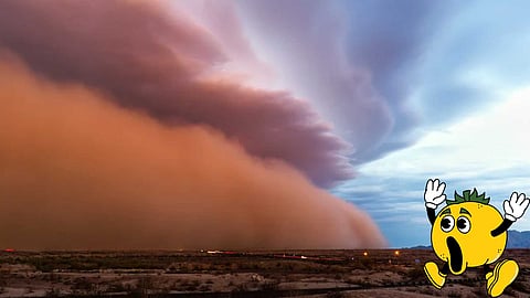 Haboob