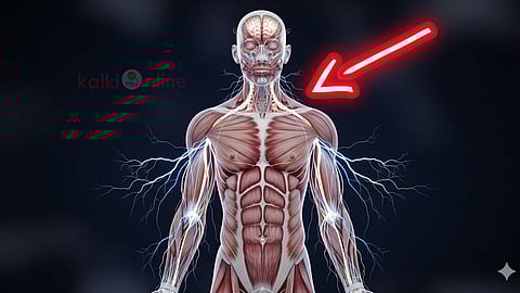 Body Creates Electricity