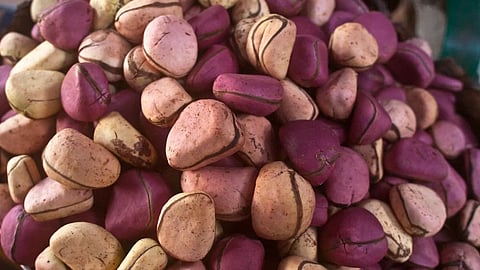 Kola nuts