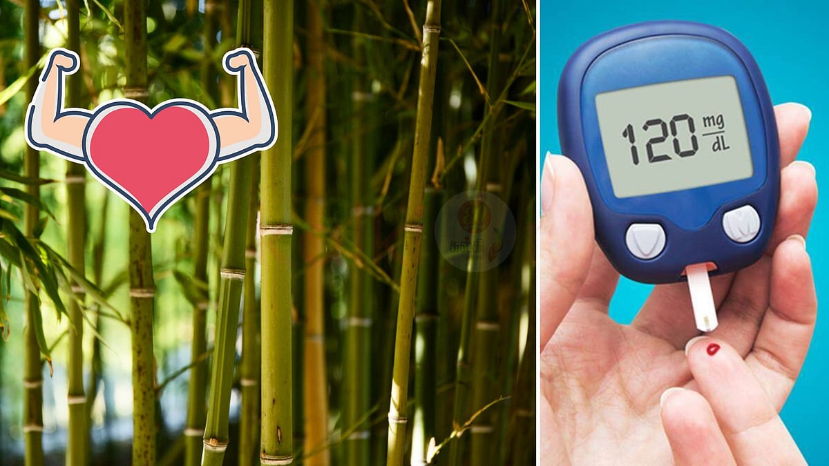 நீரிழிவு நோயா? மூங்கில் அரிசியில் ஒளிந்திருக்கும் ரகசியம்! 