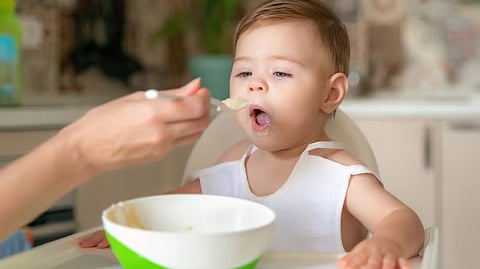 Introduce non-vegetarian foods to babies