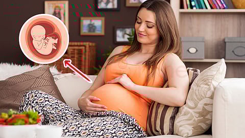 pregnant woman sitting on the sofa