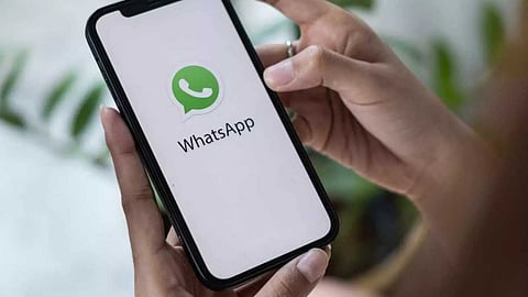 whatsapp 