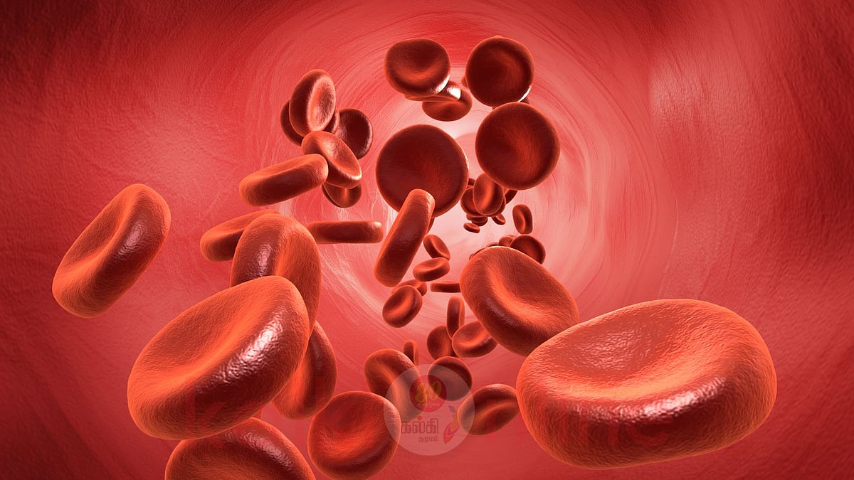 உடலில் ஓடும் இரத்தம்... அதை எப்படி செய்வது சுத்தம்? 