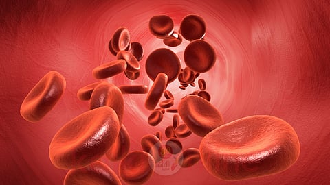 blood purification