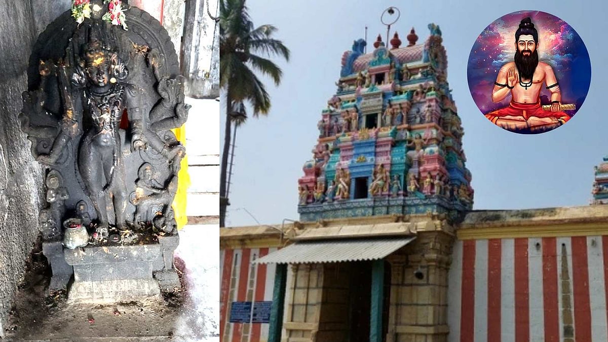 இங்கு பிரசாதத்தை சாப்பிட பறவைகள் கூட பயப்படுமாம்! போகர் செய்த சிலையின் மர்மம்! 