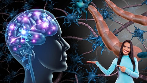 Vagus nerve