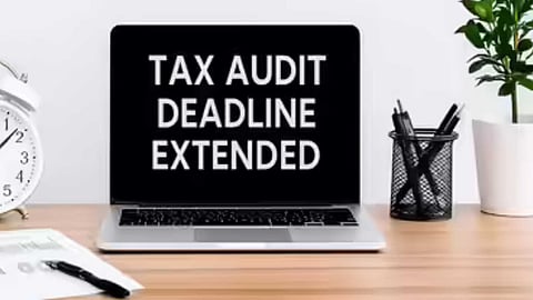 Tax audit