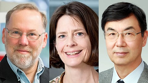Fred Ramsdell, Mary E. Brunkow and Shimon Sakaguchi