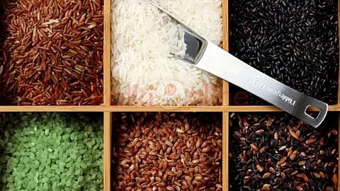 Rice varieties 
