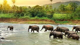  thekkadi tourist spot