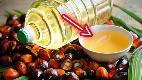 Palm oil 