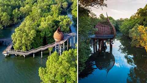 Sungei Buloh wetland reserve Singapore