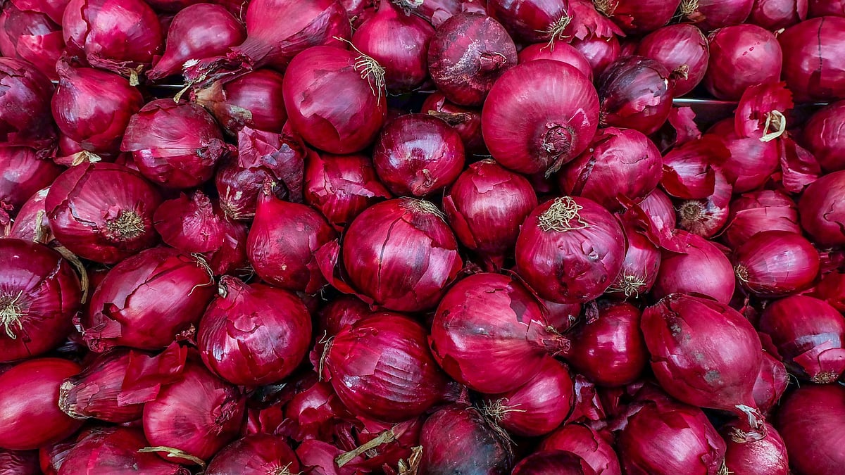 சின்னதோ, பெரிசோ, வெள்ளையோ, சிவப்போ... வெங்காயத்தில் மறைந்திருக்கும் அற்புதம்!