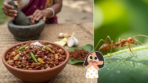 Red ant chutney
