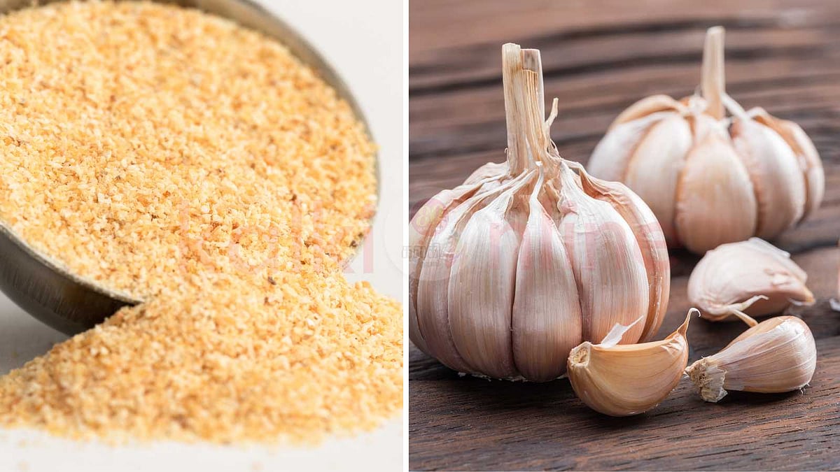 நோயெதிர்ப்பு சக்தி தரும் பூண்டுப் பவுடரின் சிறப்பு!